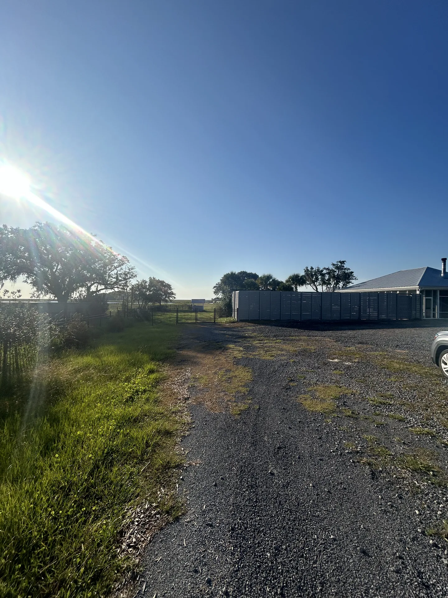 Morning sun flaring through the compound gate with live oaks and gravel drive