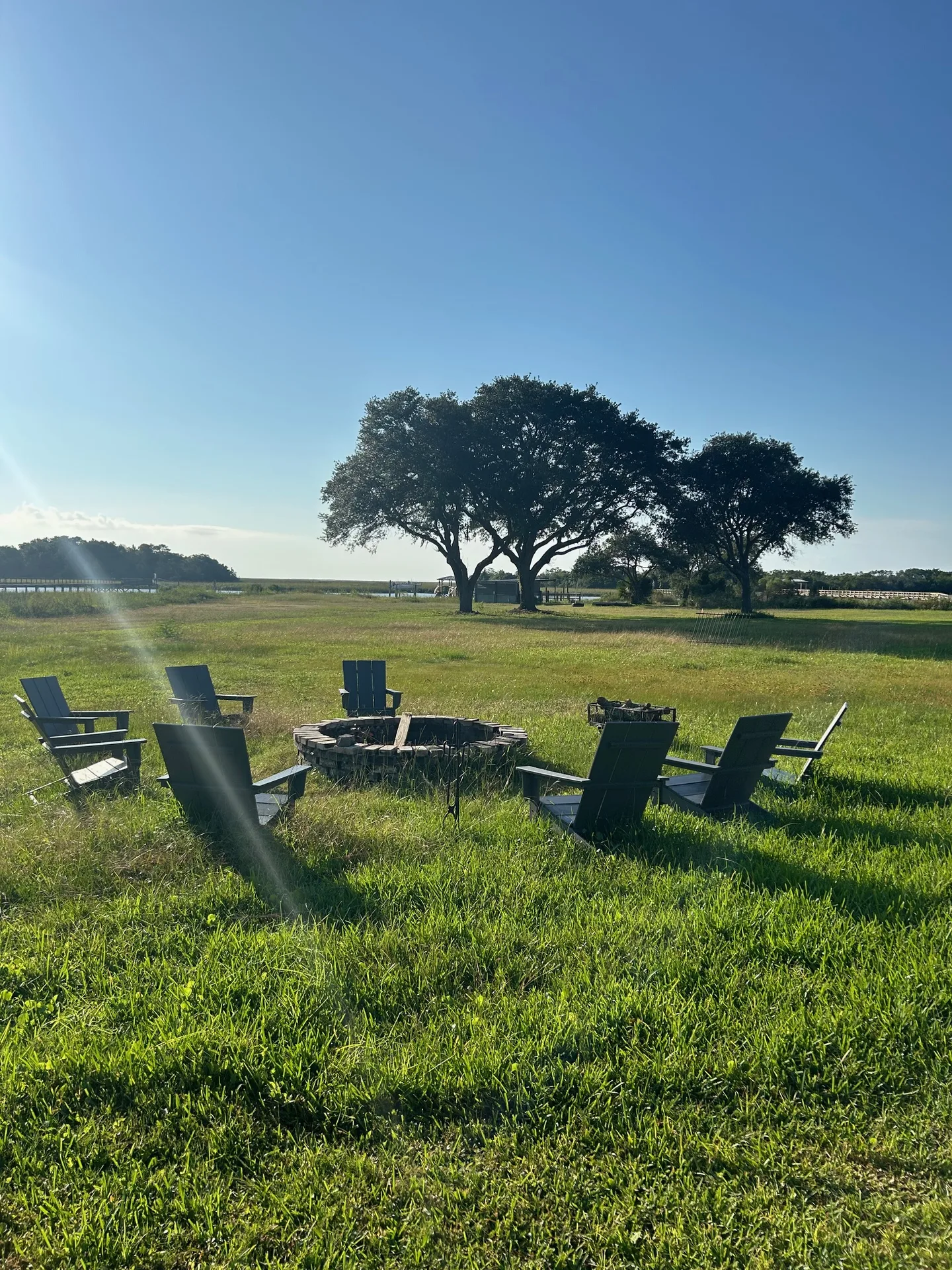 Fire pit at dusk with chairs in a circle under live oaks and sunset light